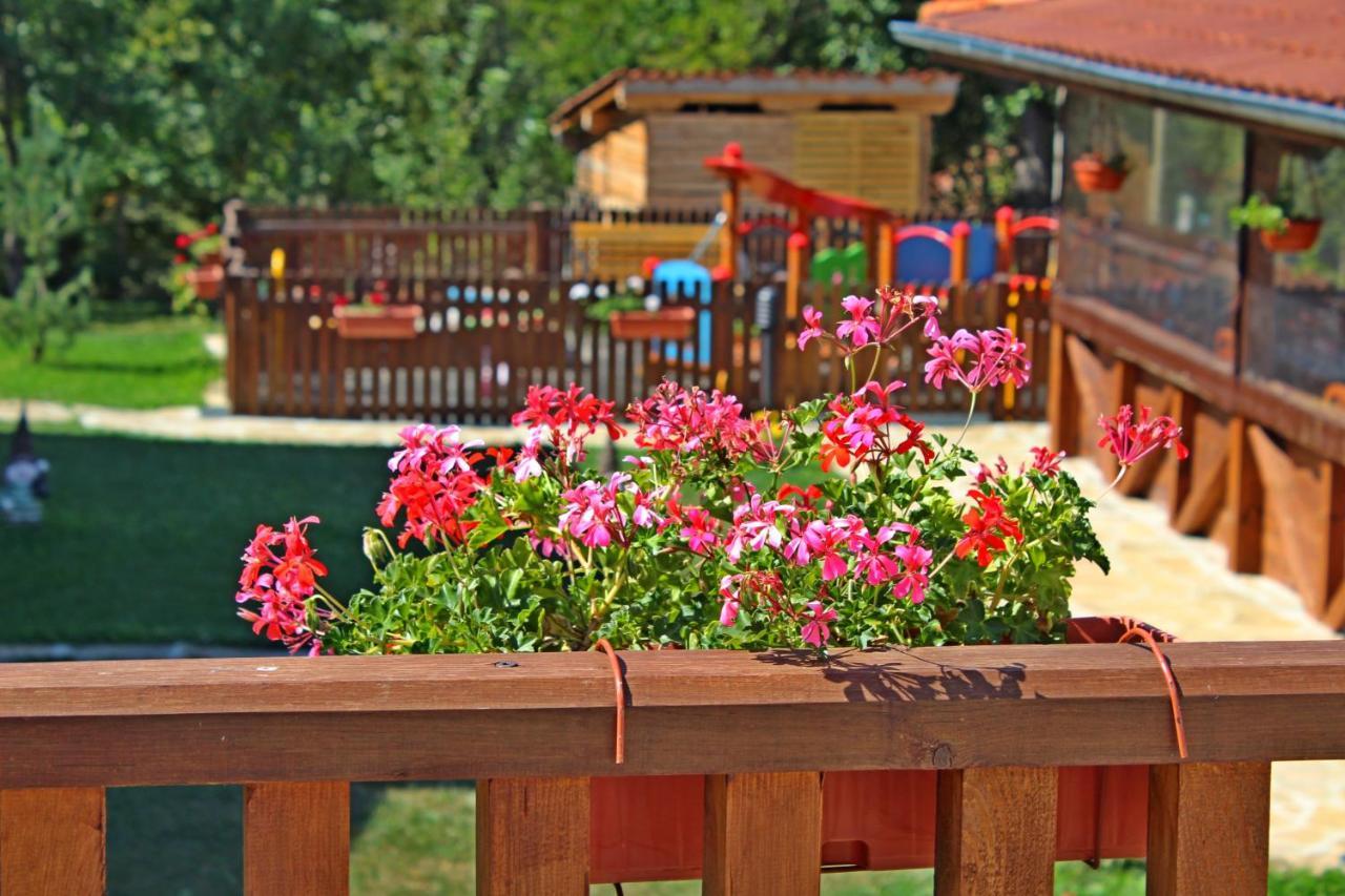 Sinjirite Complex Otel Elena Dış mekan fotoğraf